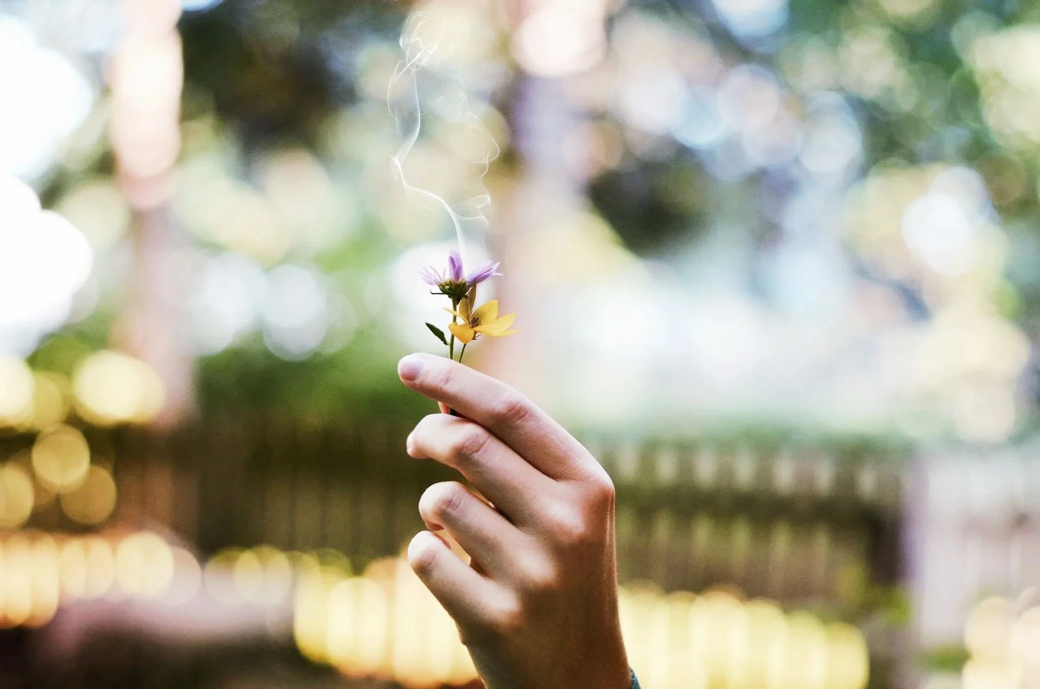 Photo by McKinley Law on Unsplash