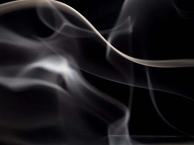 15095100_1775591859355960_597821679464585049_n.jpg
