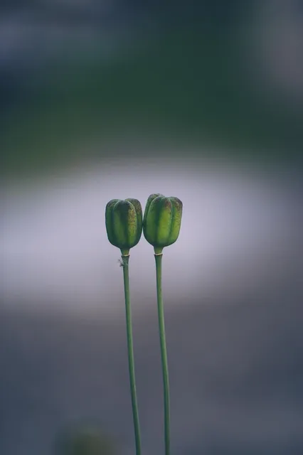You Can't Make Someone Stay (And You Shouldn't Have To Try)